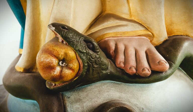 The Immaculate Conception: A Singular Grace in the Story of Salvation